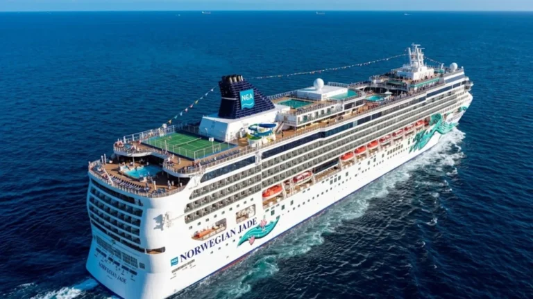 NCL Login