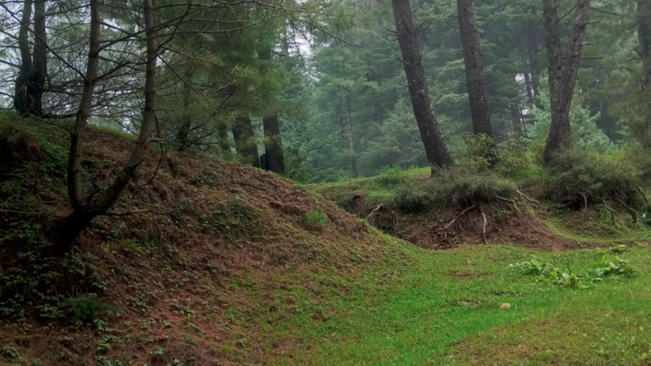to Visit Shogran