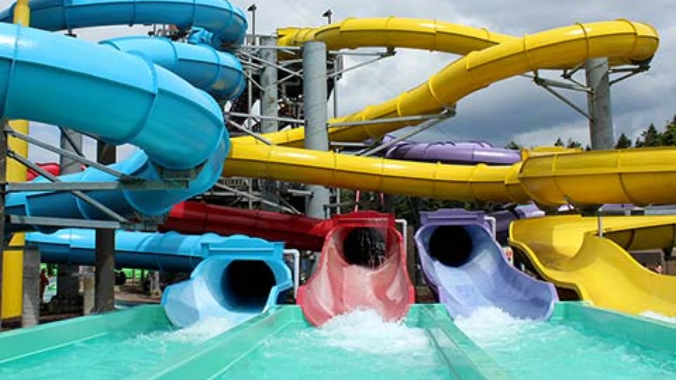 Wild Waves Theme Park